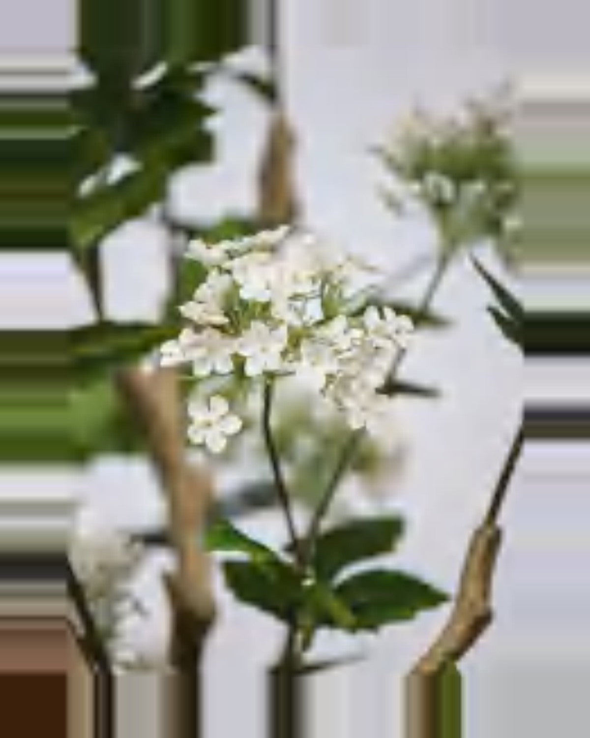 Lauze Hydrangea Tree — close-up detail 1, artificial hydrangea tree