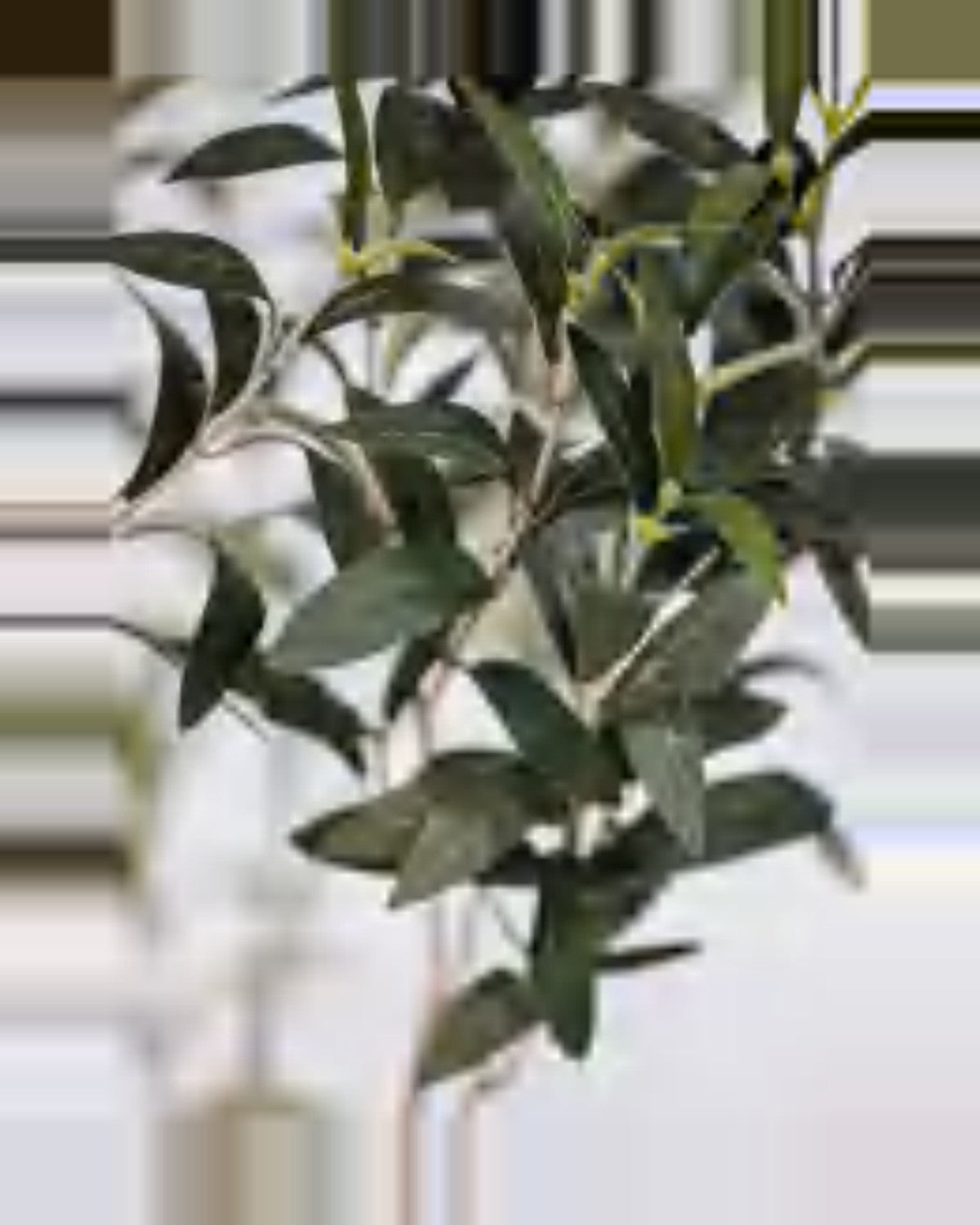 Positano Olive Tree — close-up detail 1, artificial olive tree