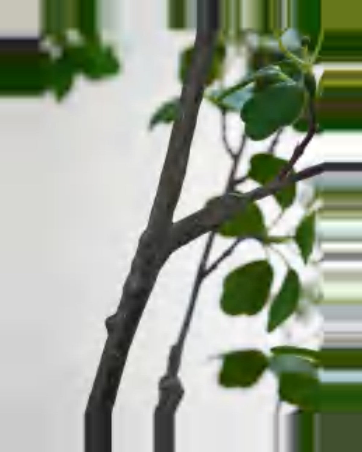 Riva Dogwood Tree With Leaves — close-up detail 1, artificial dogwood tree with leaves