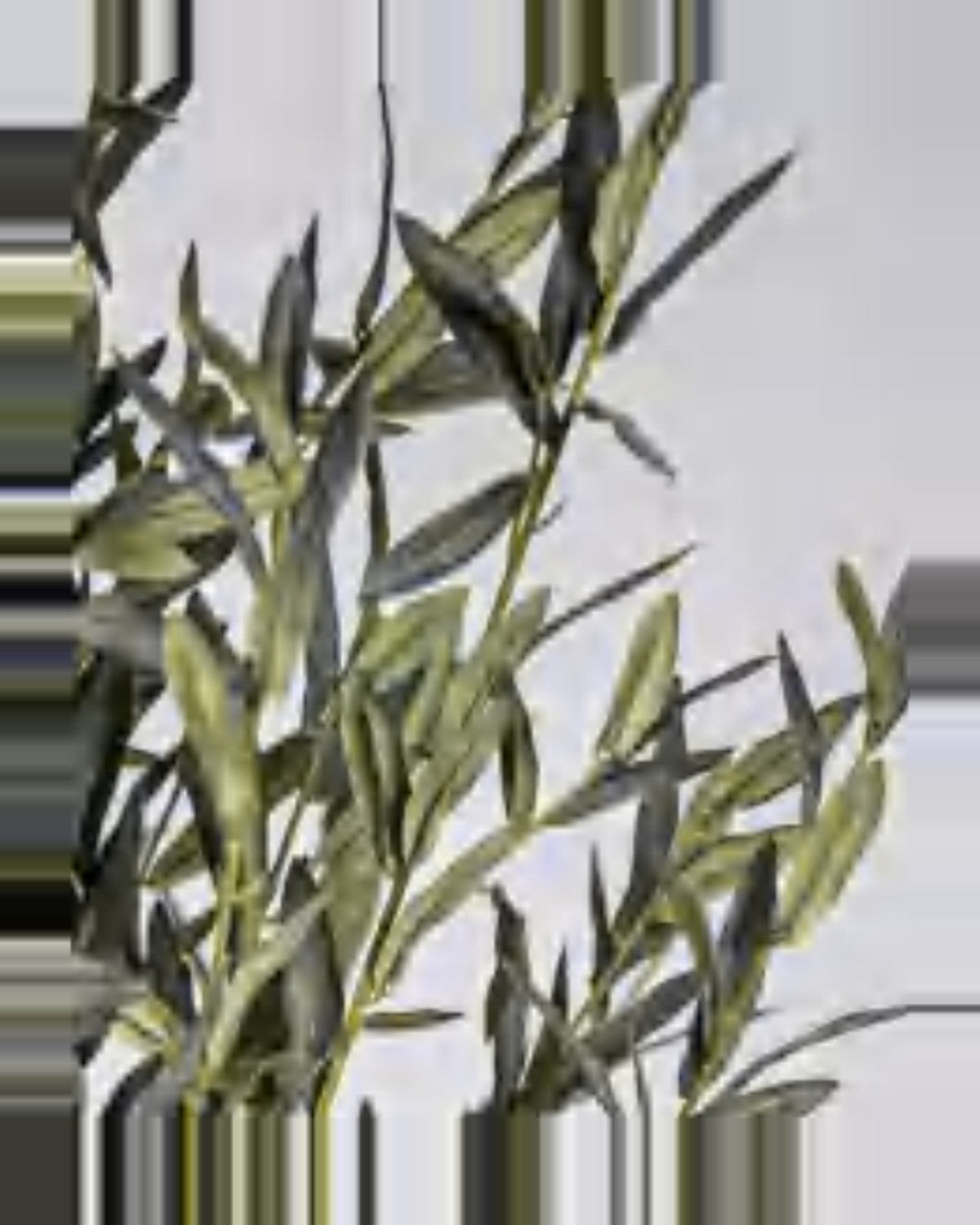 Pienza Olive Tree — close-up detail 1, artificial olive tree