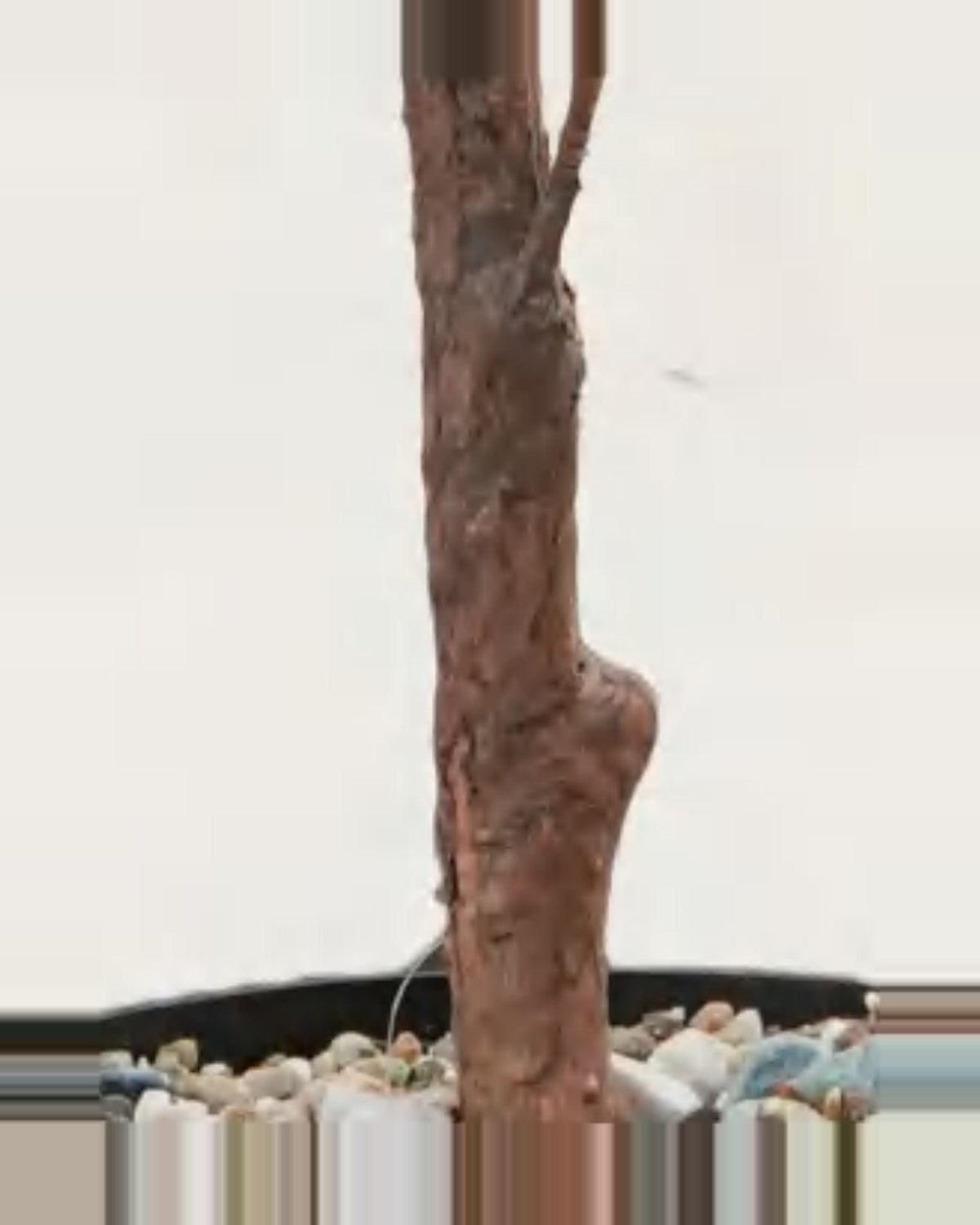 Nova Goldfish Grass Tree For Fish Tank Aquarium — close-up detail 1, artificial goldfish grass tree for fish tank aquarium