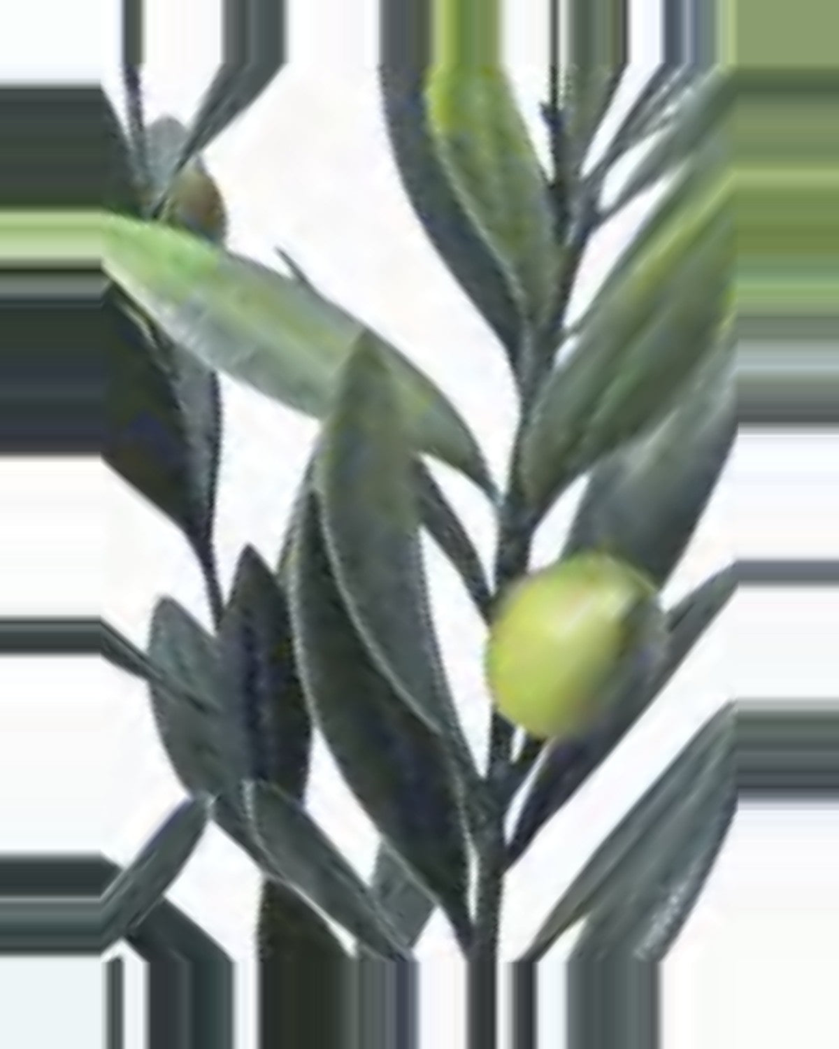 Cefalu Olive Tree — close-up detail 1, artificial olive tree