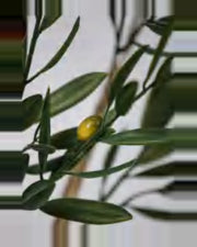 Alberobello Olive Tree — close-up detail 1, artificial olive tree