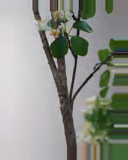Vela Dogwood Tree — close-up detail 1, artificial dogwood tree