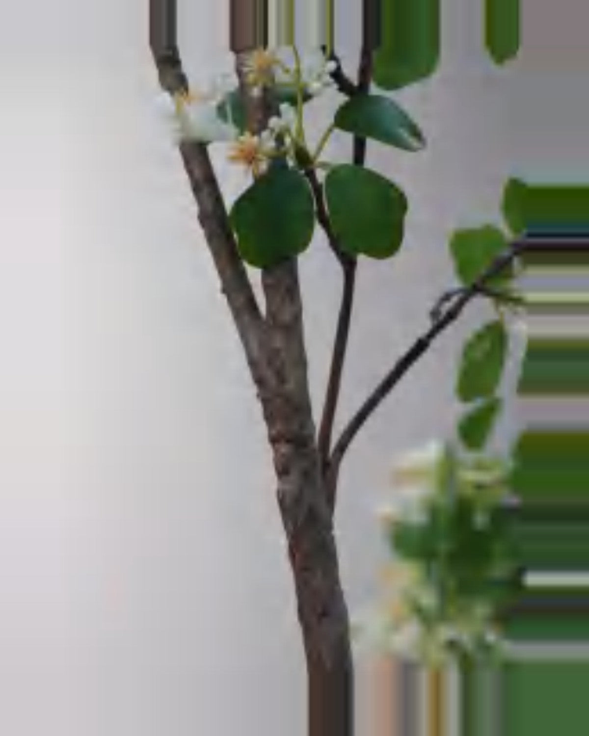 Vela Dogwood Tree — close-up detail 1, artificial dogwood tree