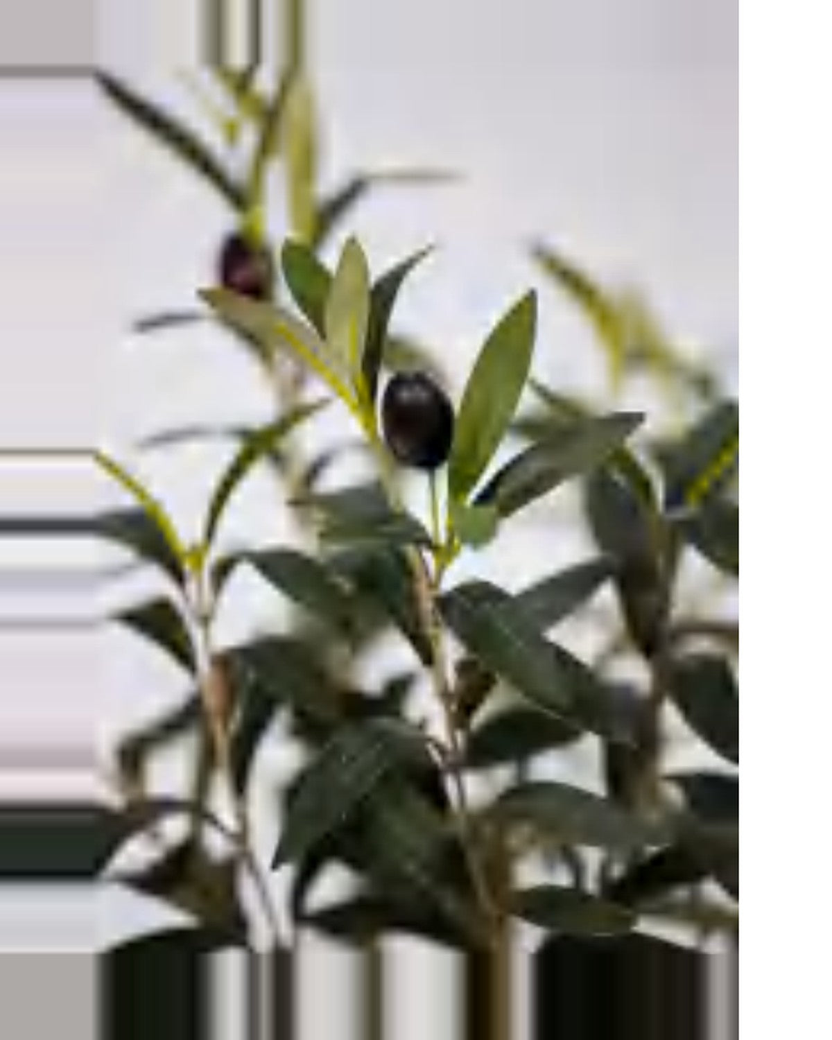 Otranto Olive Tree — close-up detail 1, artificial olive tree