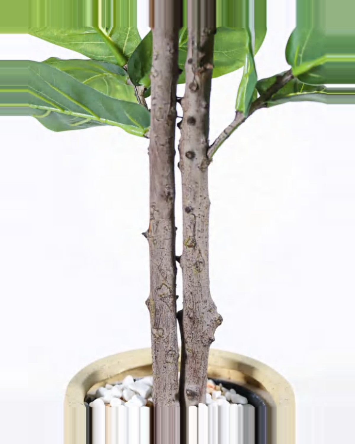 Clapas Fiddle Leaf Fig Tree — close-up detail 1, artificial fiddle leaf fig tree