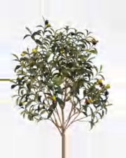 Fermo Olive Tree — close-up detail 6, artificial olive tree