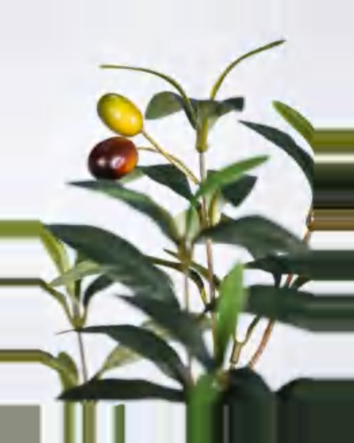 Todi Olive Tree — close-up detail 1, artificial olive tree