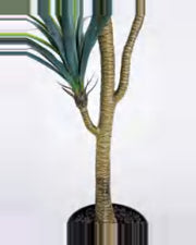 Estive Dracaena Plant — close-up detail 1, artificial dracaena plant