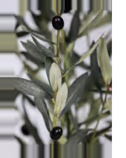 Portofino Olive Tree — close-up detail 1, artificial olive tree