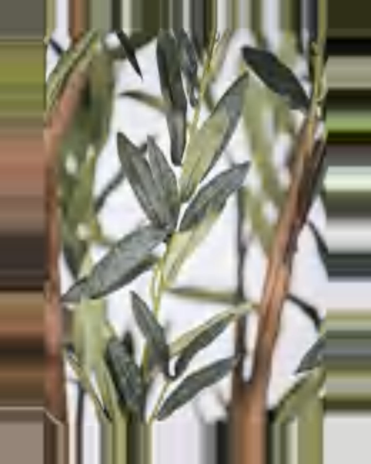 Montalcino Olive Tree — close-up detail 1, artificial olive tree