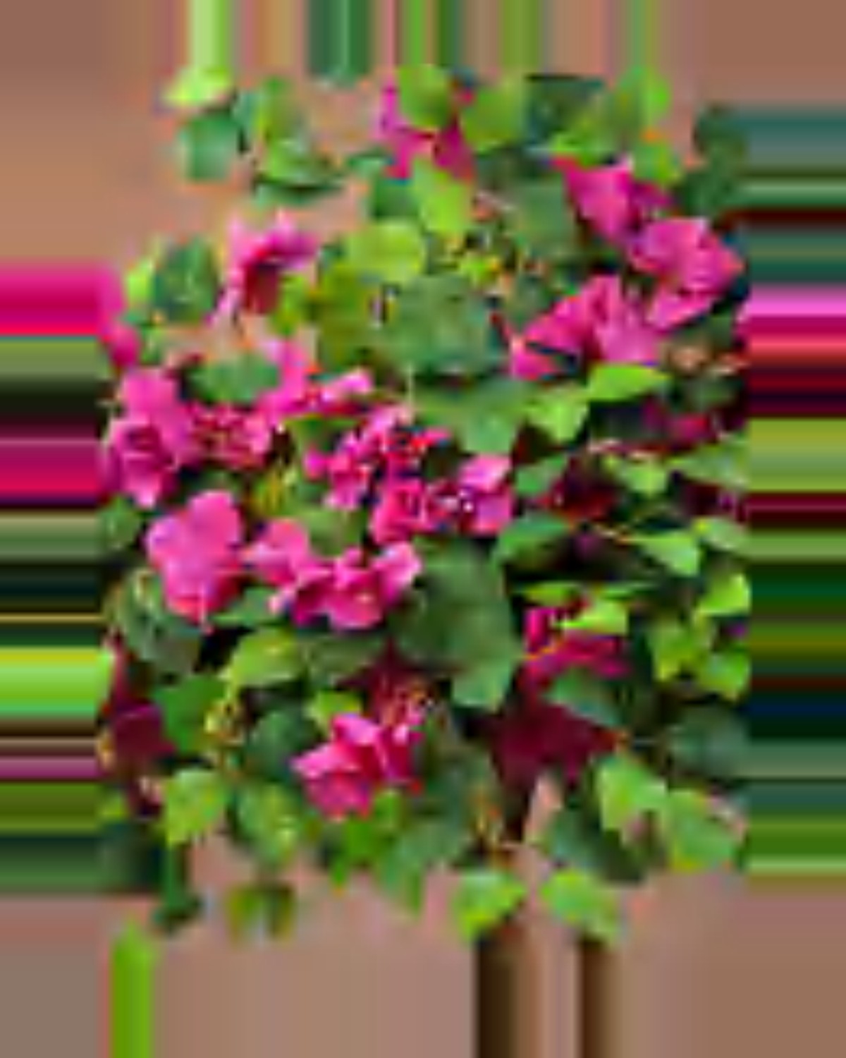 Vallon Bougainvillea Tree — close-up detail 1, artificial bougainvillea tree