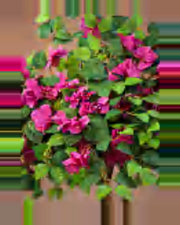 Vallon Bougainvillea Tree — close-up detail 1, artificial bougainvillea tree