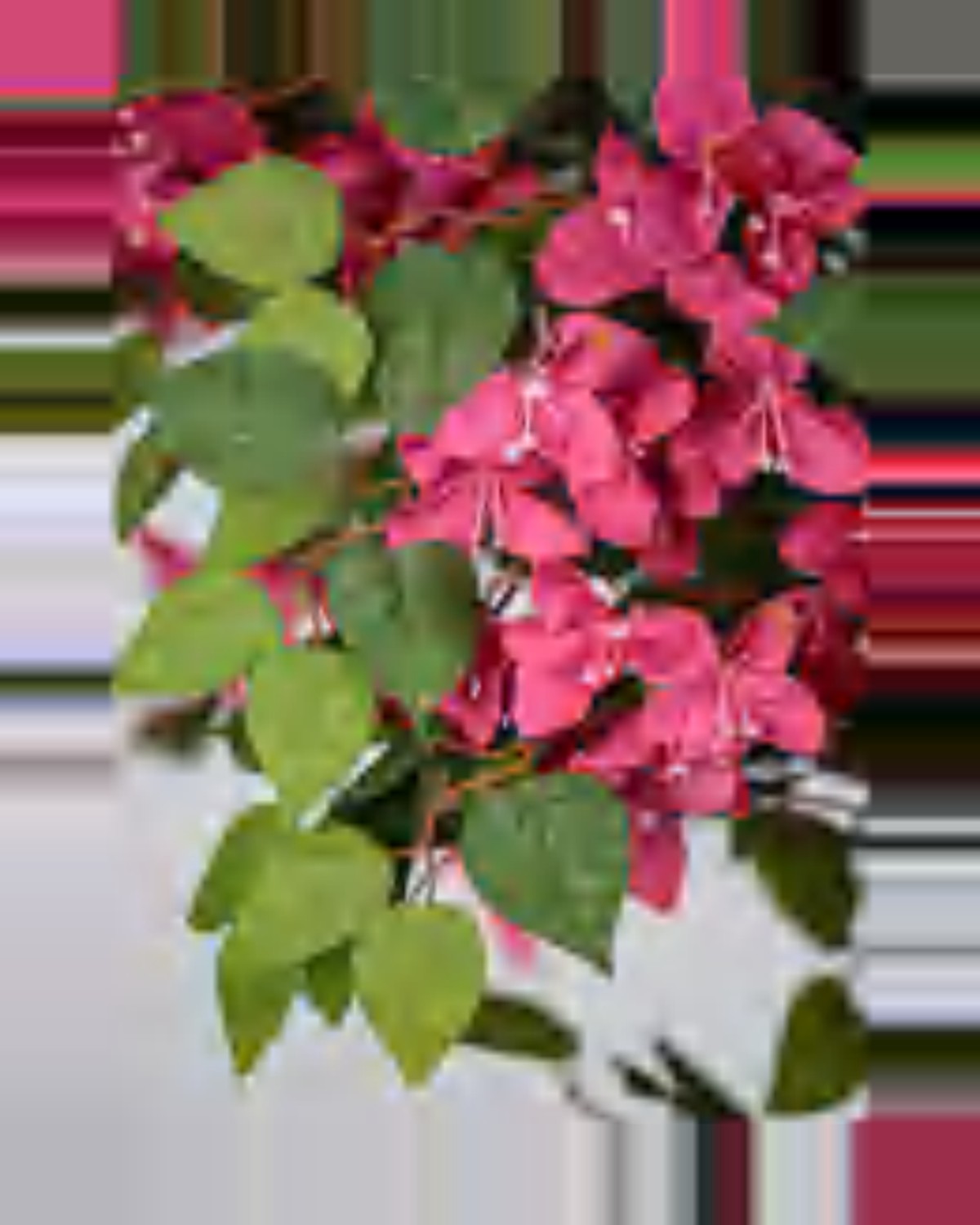 Mistral Bougainvillea Tree — close-up detail 1, artificial bougainvillea tree