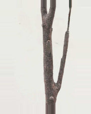 Lucchese Olive Fruit Leaf Tree — close-up detail 1, artificial olive fruit leaf tree