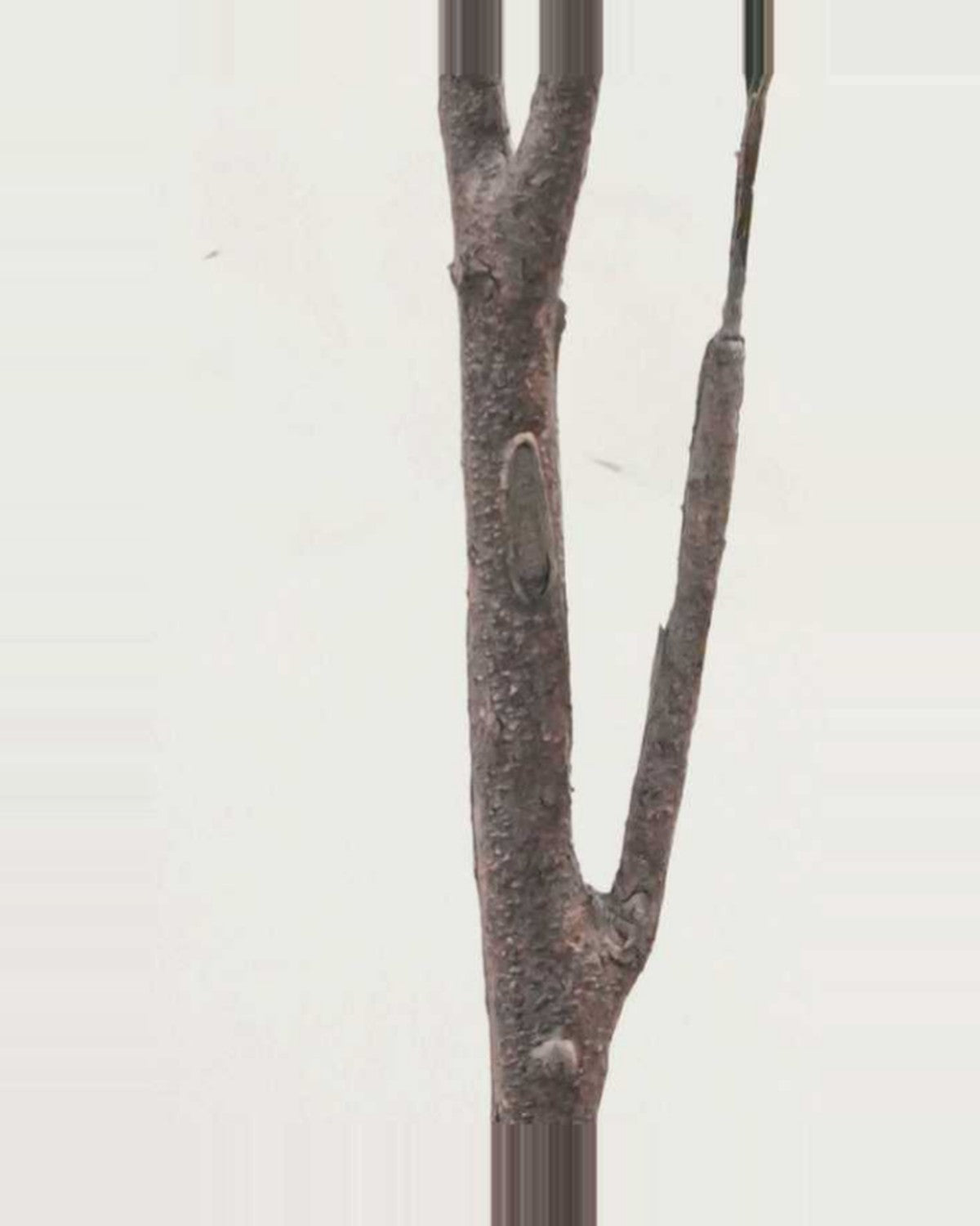 Lucchese Olive Fruit Leaf Tree — close-up detail 1, artificial olive fruit leaf tree