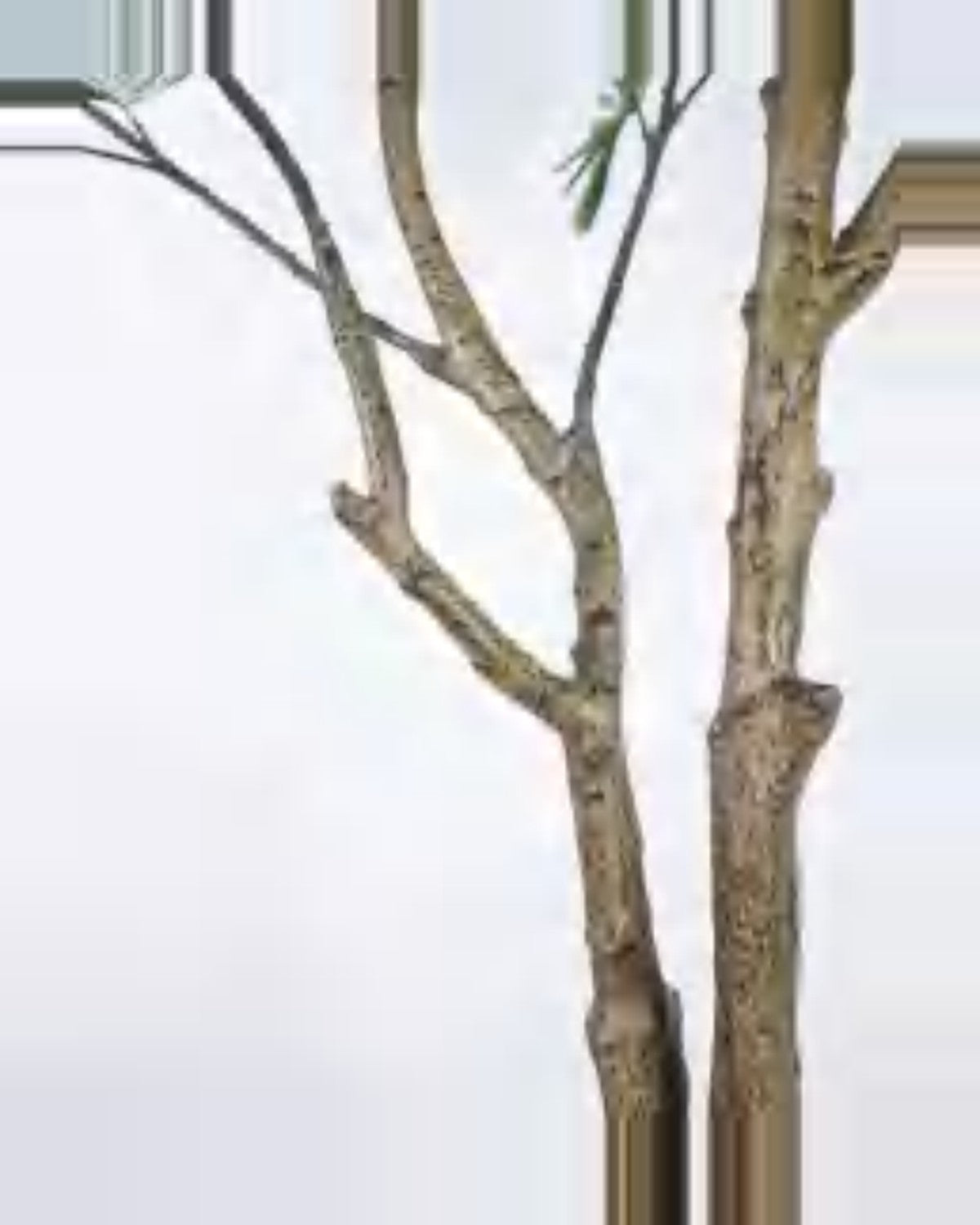 Vallon Royal Poinciana Tree — close-up detail 1, artificial royal poinciana tree