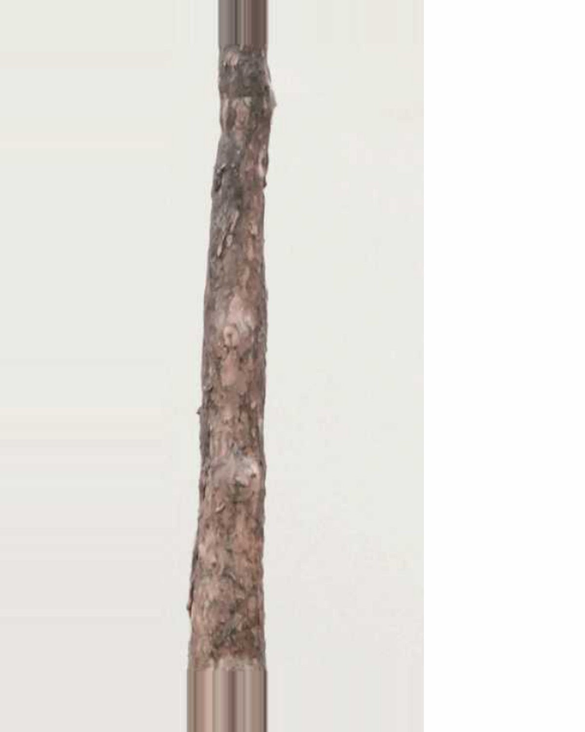 Sole Ficus Tree With Black Trunk — close-up detail 1, artificial ficus tree with black trunk