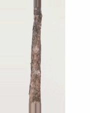 Sole Ficus Tree With Black Trunk — close-up detail 1, artificial ficus tree with black trunk