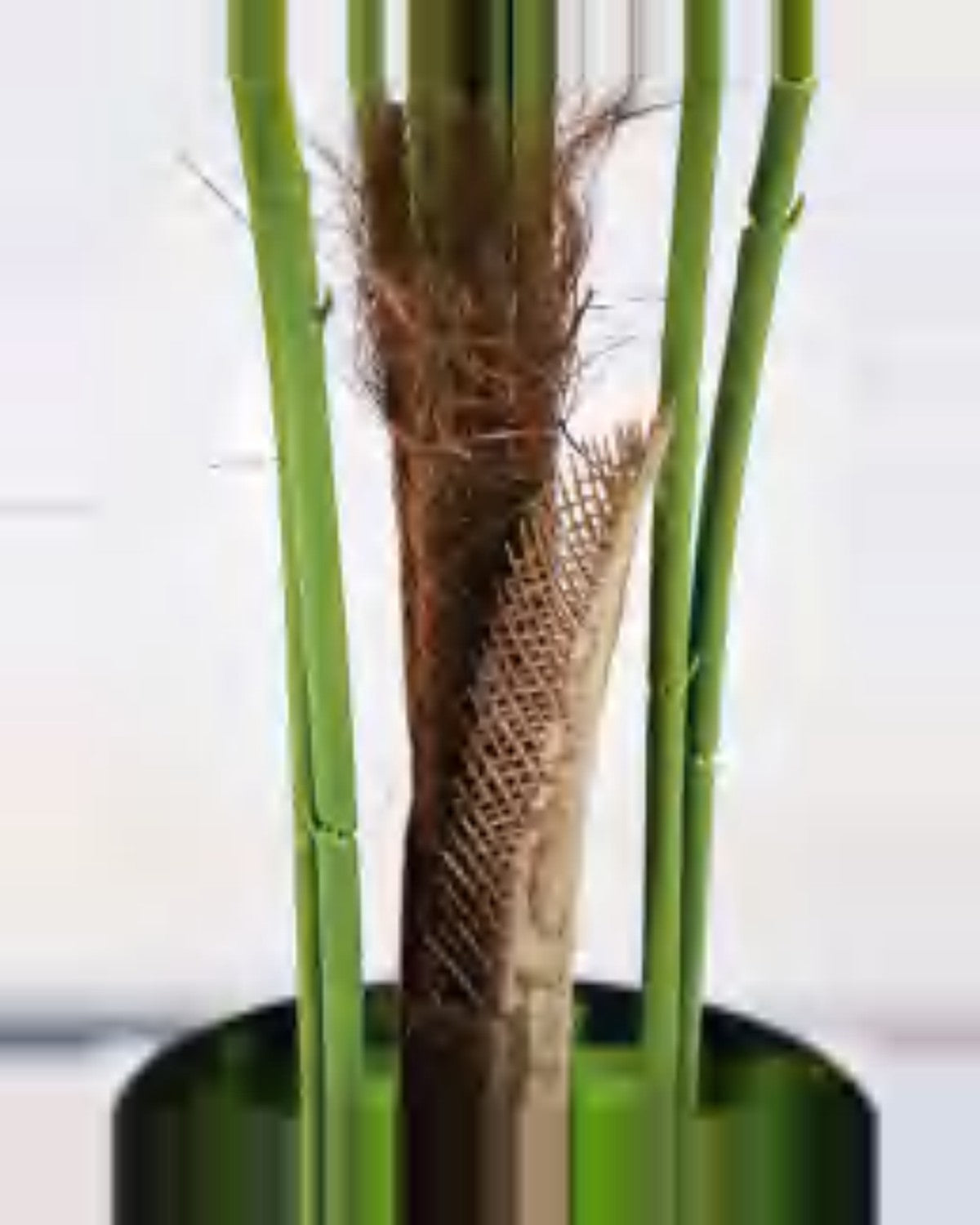 Garrigue Areca Palm Tree — close-up detail 6, artificial areca palm tree