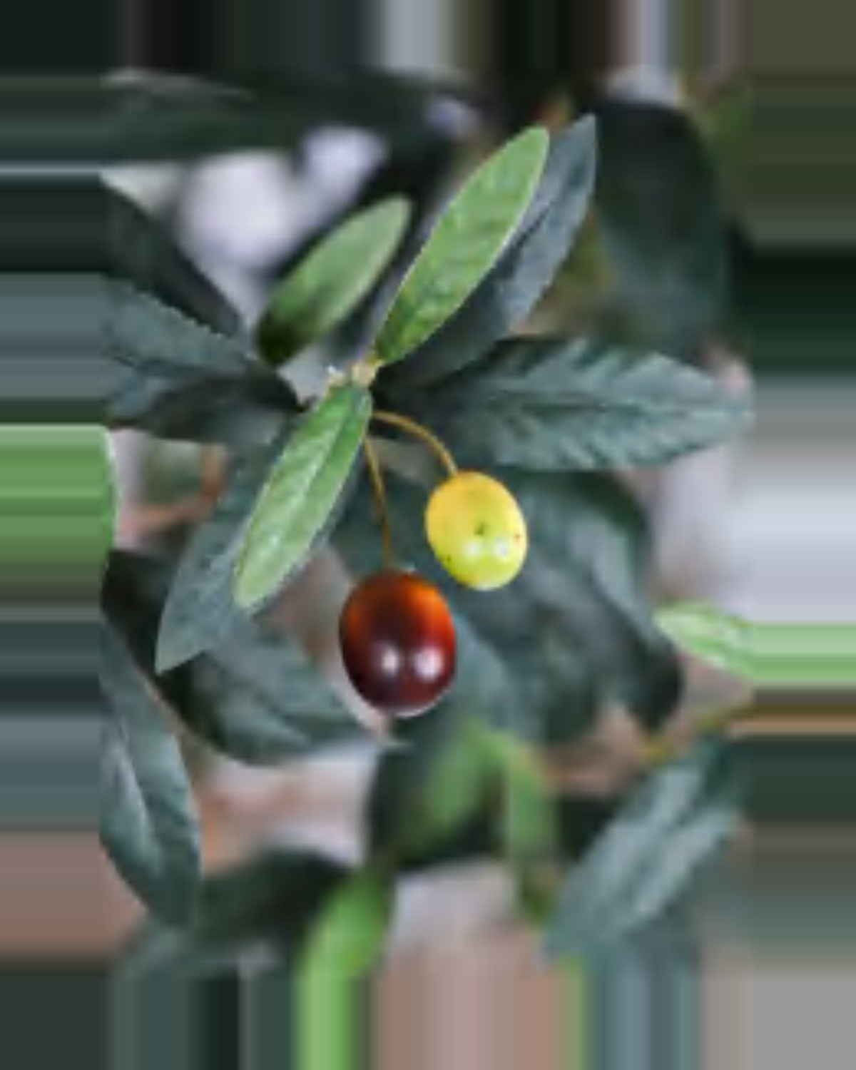 Gubbio Olive Tree — close-up detail 1, artificial olive tree