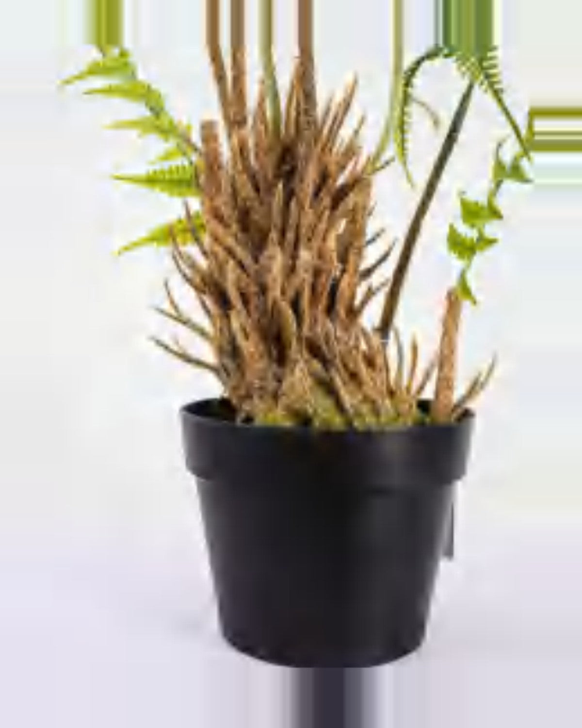 Cigale Boston Fern Plant — close-up detail 1, artificial boston fern plant