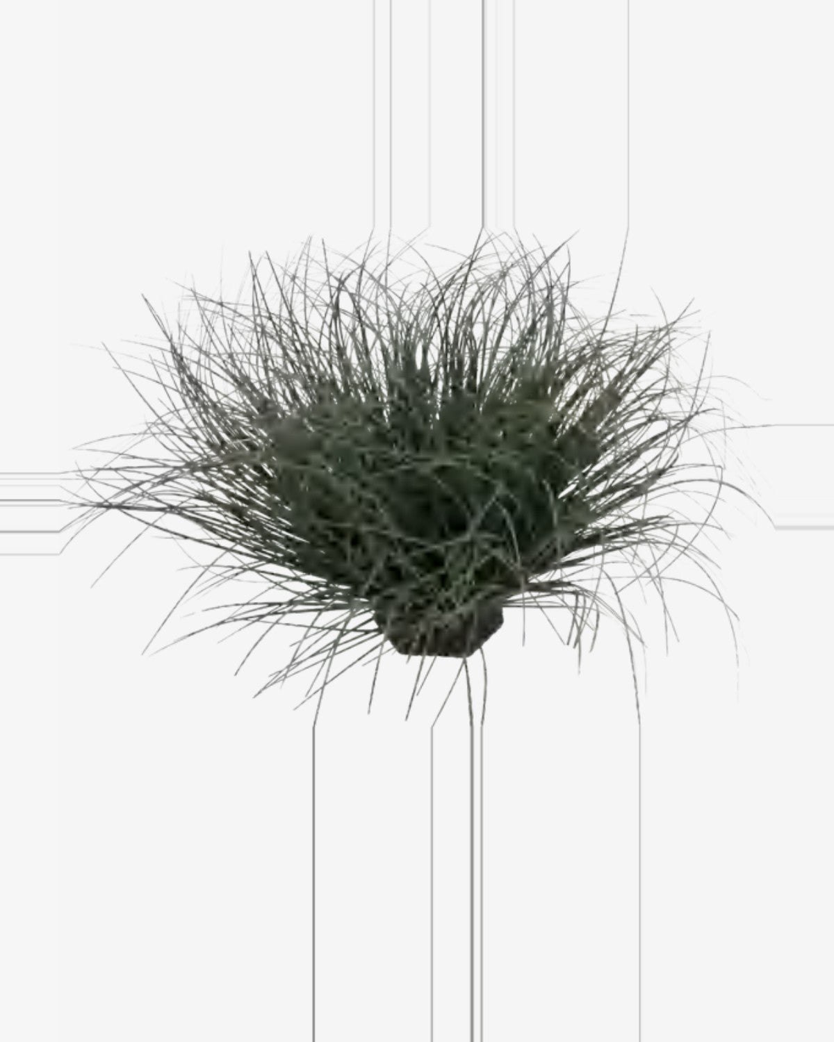 Cedre Onion Grass — close-up detail 1, artificial onion grass