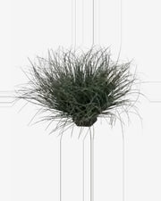 Cedre Onion Grass — close-up detail 1, artificial onion grass