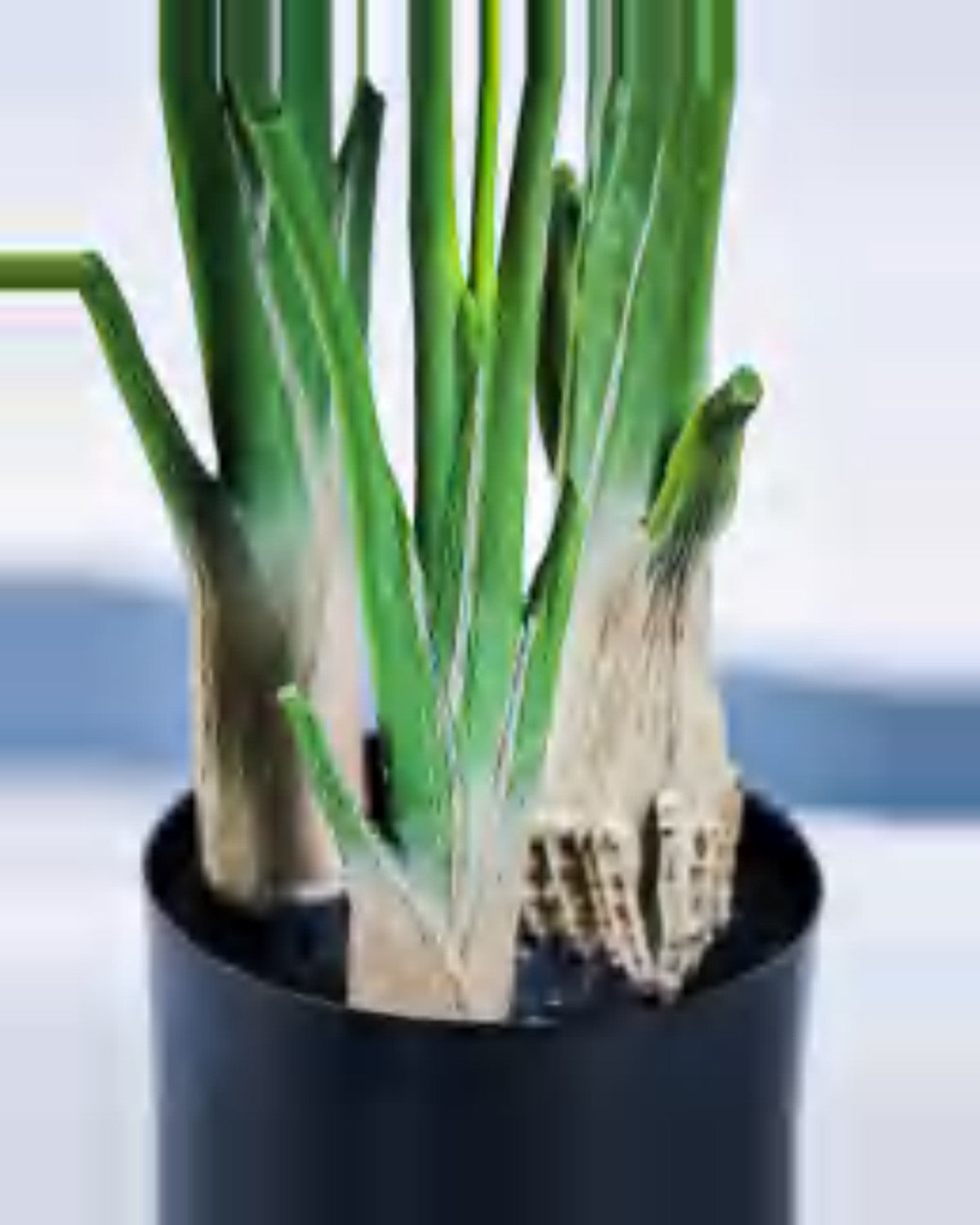 Argilla Monstera Plant — close-up detail 1, artificial monstera plant