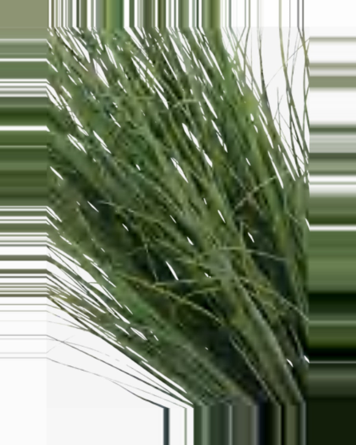 Argilla Onion Grass — close-up detail 1, artificial onion grass