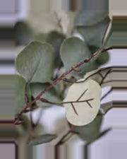 Alma Eucalyptus Tree — close-up detail 1, artificial eucalyptus tree