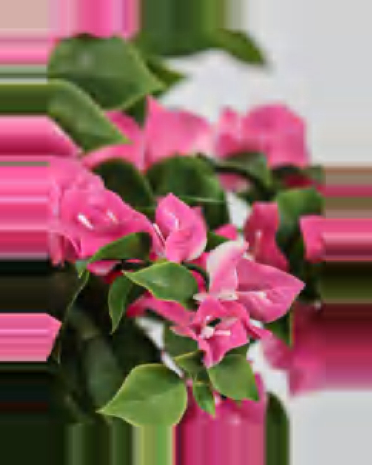 Oustau Bougainvillea Tree — close-up detail 1, artificial bougainvillea tree