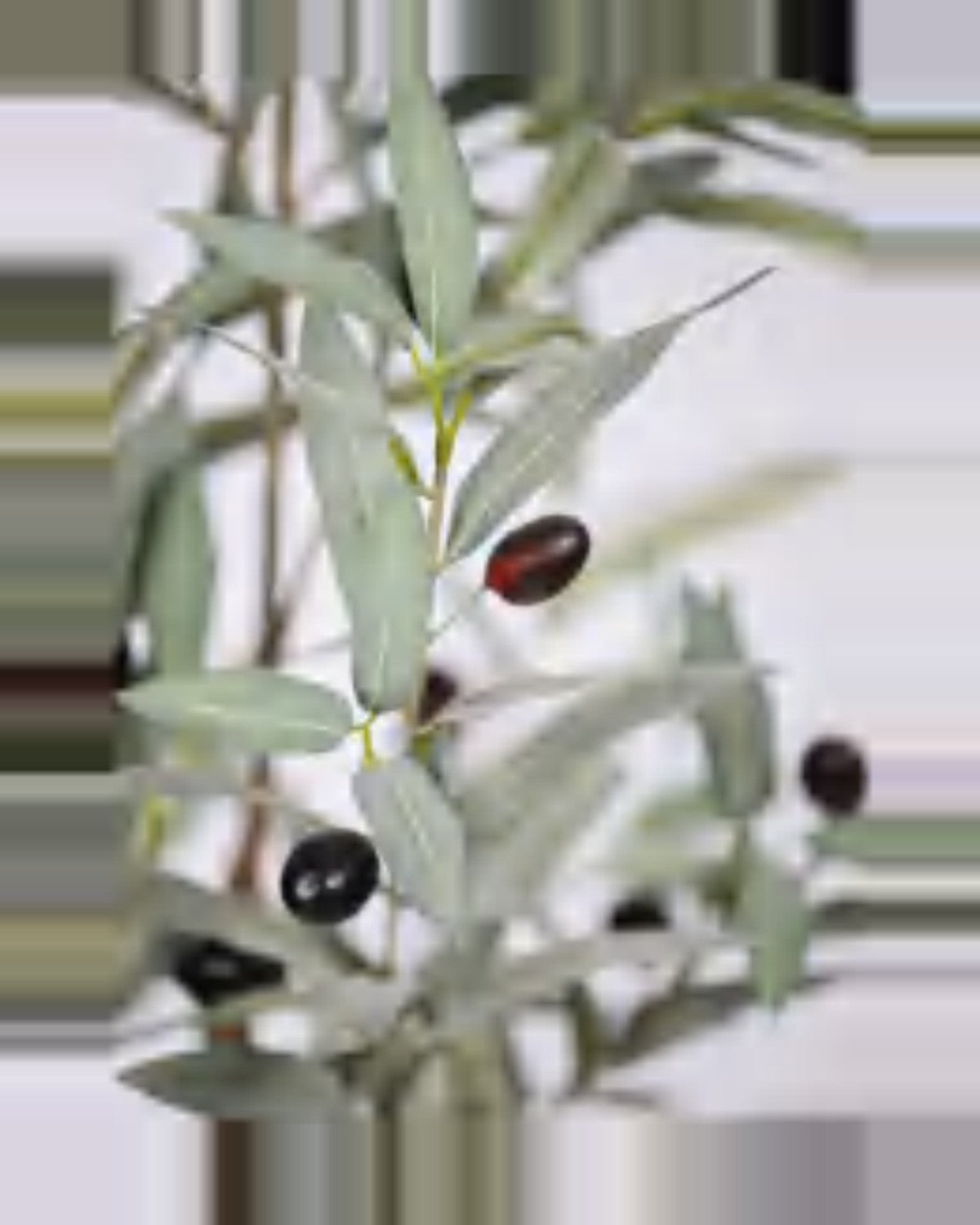 Cortona Olive Tree — close-up detail 1, artificial olive tree