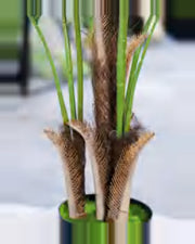 Garrigue Areca Palm Tree — close-up detail 1, artificial areca palm tree