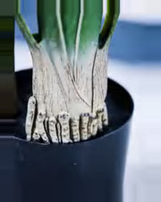 Argilla Monstera Plant — close-up detail 2, artificial monstera plant