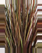 Sabbia Onion Grass — close-up detail 2, artificial onion grass