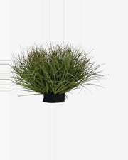 Vallon Onion Grass Bush — close-up detail 2, artificial onion grass bush