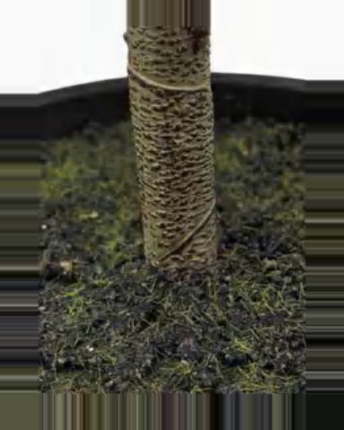 Salina Olive Tree — close-up detail 2, artificial olive tree