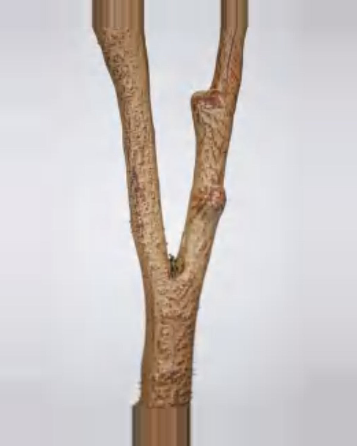 Montalcino Olive Tree — close-up detail 2, artificial olive tree