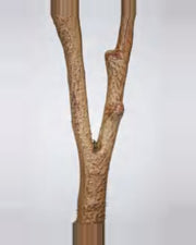 Montalcino Olive Tree — close-up detail 2, artificial olive tree
