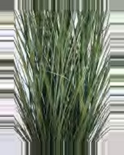 Lino Onion Grass — close-up detail 2, artificial onion grass