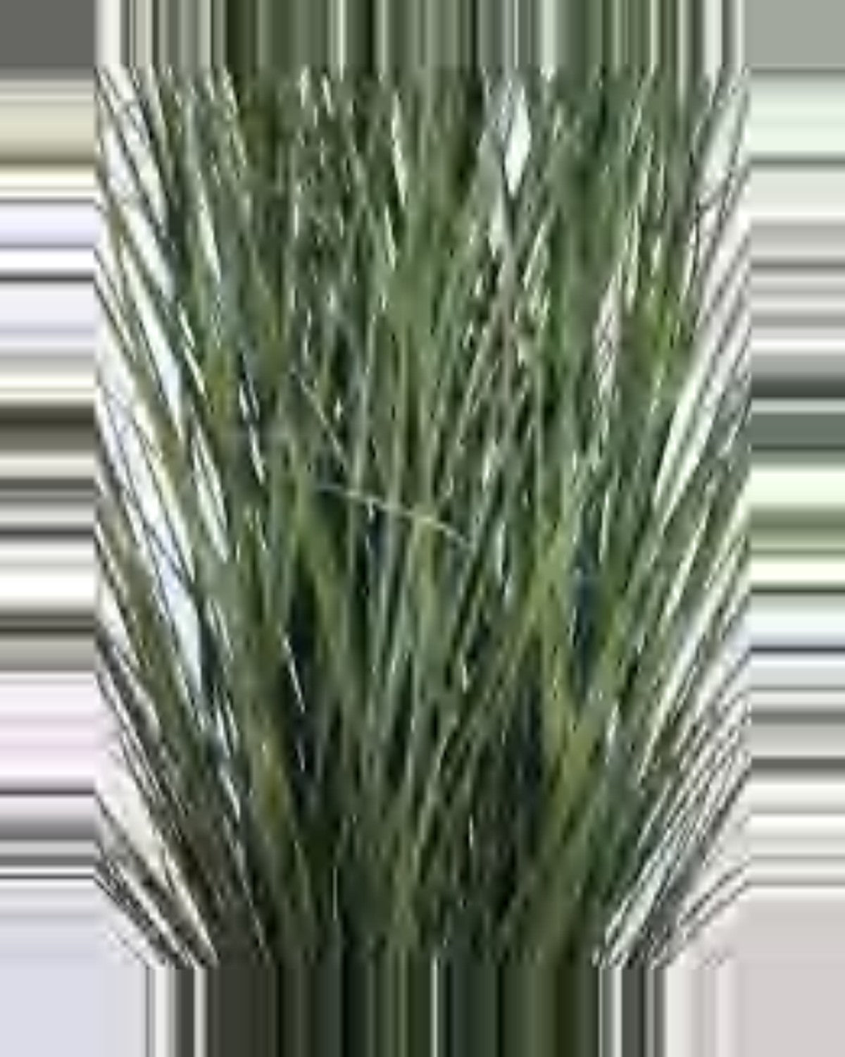 Lino Onion Grass — close-up detail 2, artificial onion grass