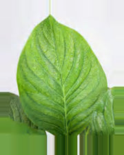 Estive Tropical Plants — close-up detail 2, artificial tropical plants