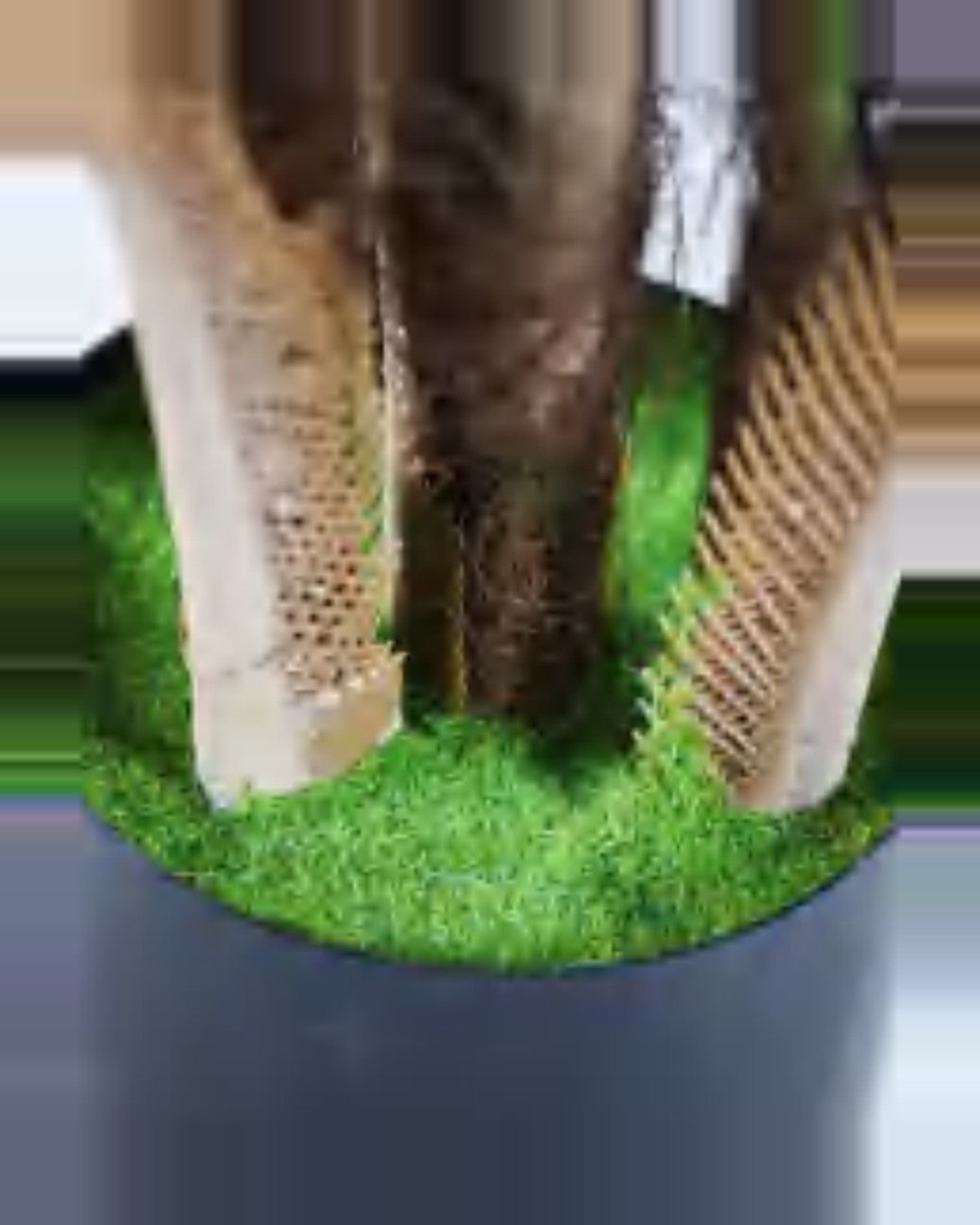 Garrigue Areca Palm Tree — close-up detail 2, artificial areca palm tree
