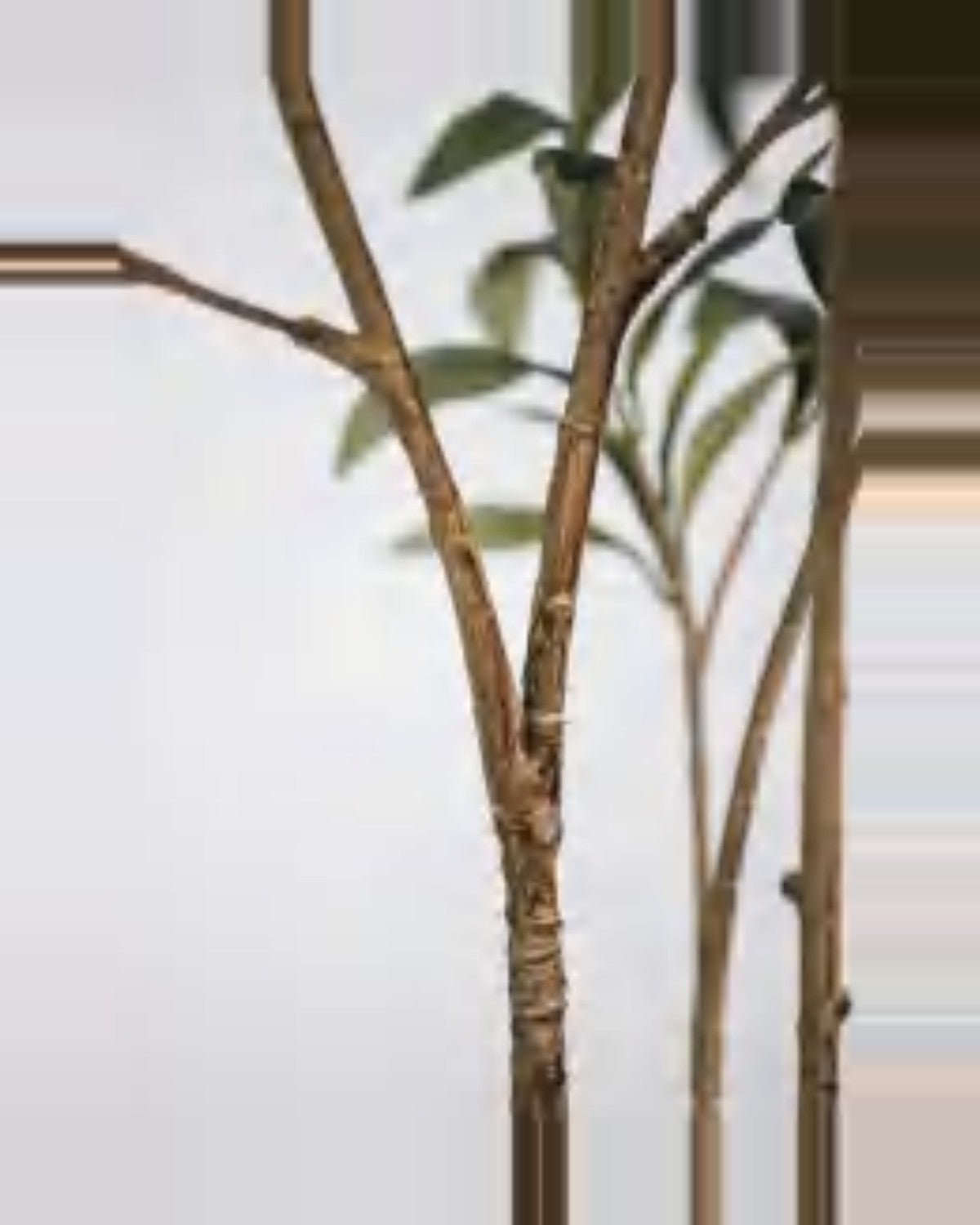 Ischia Olive Tree — close-up detail 2, artificial olive tree