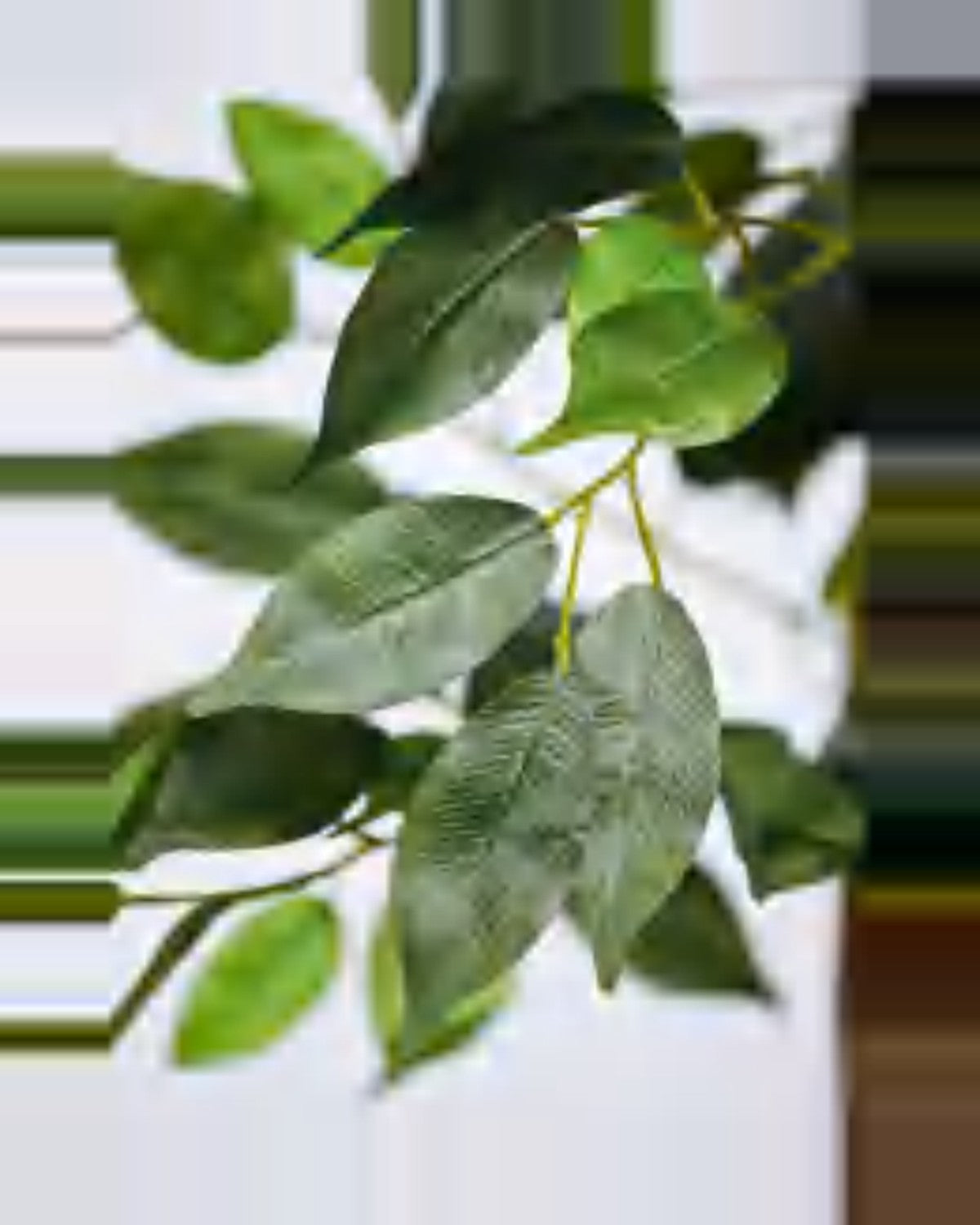 Luce Ficus Tree — close-up detail 2, artificial ficus tree