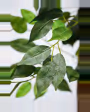 Luce Ficus Tree — close-up detail 2, artificial ficus tree