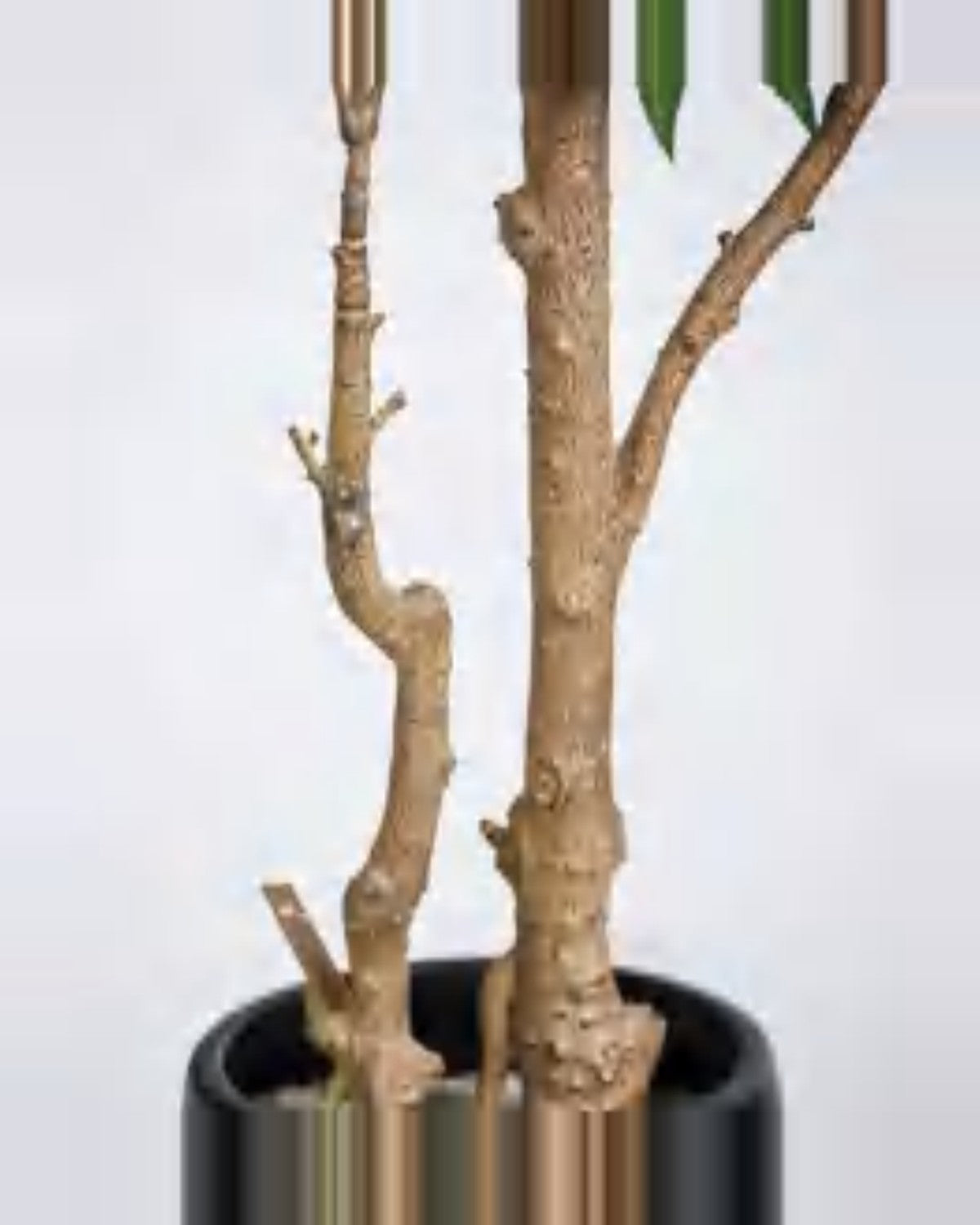 Aria Maple Tree — close-up detail 2, artificial maple tree