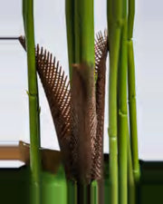 Mistral Areca Palm Tree — close-up detail 2, artificial areca palm tree